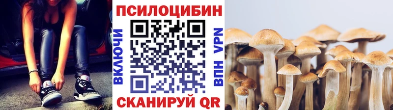 Галлюциногенные грибы прущие грибы  Купить закладки  Шарья 